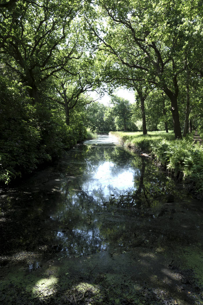 Gewässer im Wals bei Domburg